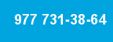 977 731-38-64